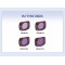Freewell Osmo Pocket 4/3 Bright day - 4 Pack (FW-OP3-BRG)